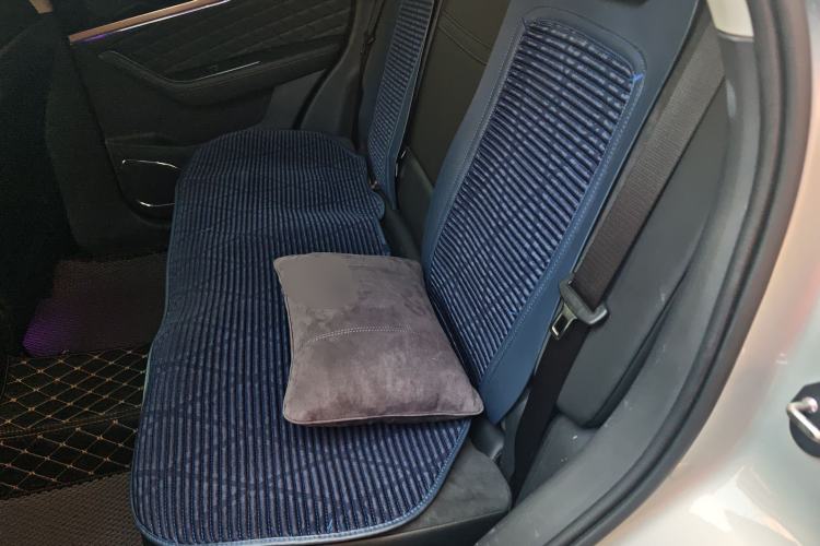 Used Hongqi HS5 2019 2.0T Smart Connect Flagship All-Wheel-Drive Version Left Rear Seat
