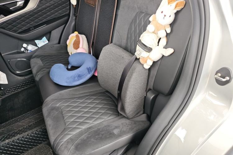 Used Hongqi HS5 2019 2.0T Smart Connect Flagship Edition Left Rear Seat