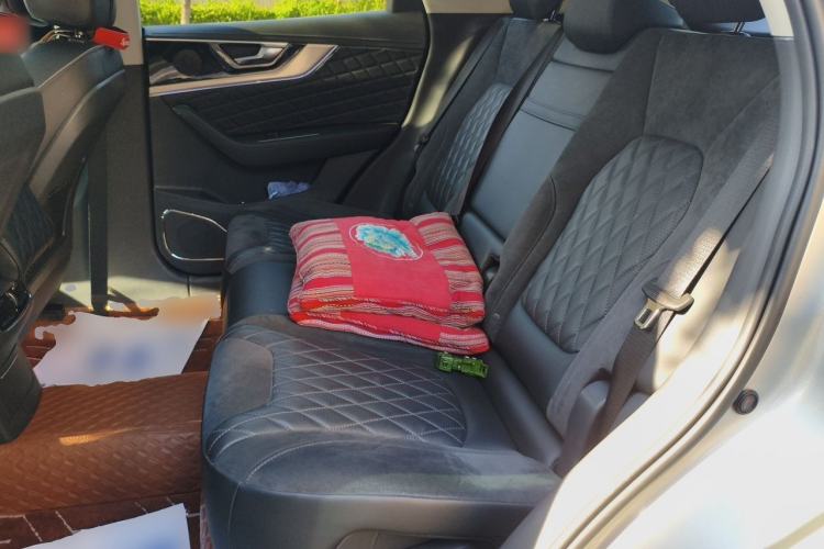 Used Hongqi HS5 2019 2.0T Smart Connect Flagship All-Wheel-Drive Version Left Rear Seat