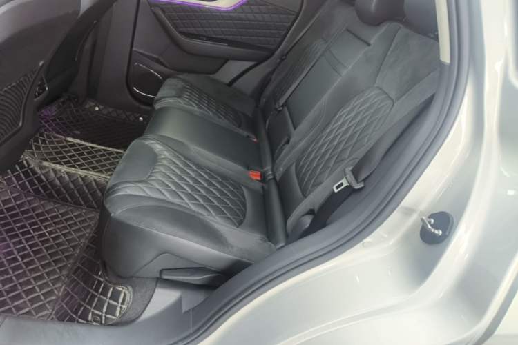 Used Hongqi HS5 2019 2.0T Smart Connect Flagship All-Wheel-Drive Version Left Rear Seat
