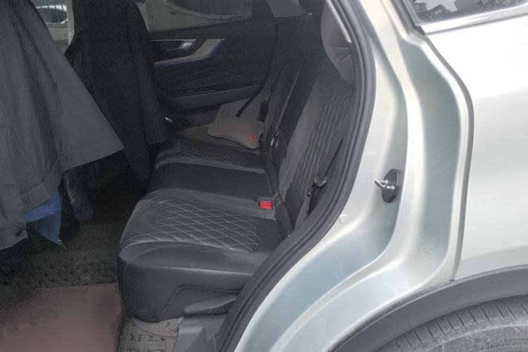 Used Hongqi HS5 2019 2.0T Smart Connect Flagship All-Wheel-Drive Version Left Rear Seat