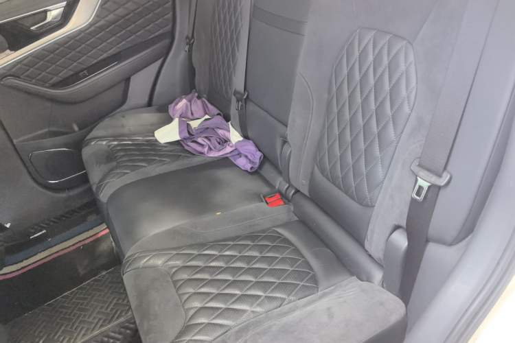 Used Hongqi HS5 2019 2.0T Smart Connect Flagship All-Wheel-Drive Version Left Rear Seat