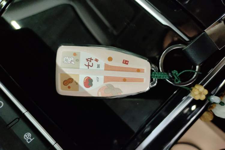 Used Hongqi HS5 2019 2.0T Smart Connect Flagship Edition Vehicle Key