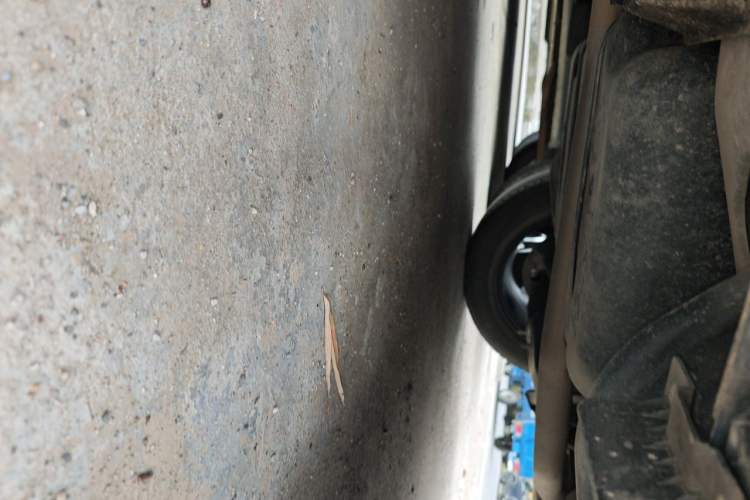 Used Hongqi HS5 2022 2.0T Smart Connect Flagship Edition Chassis Rear Left