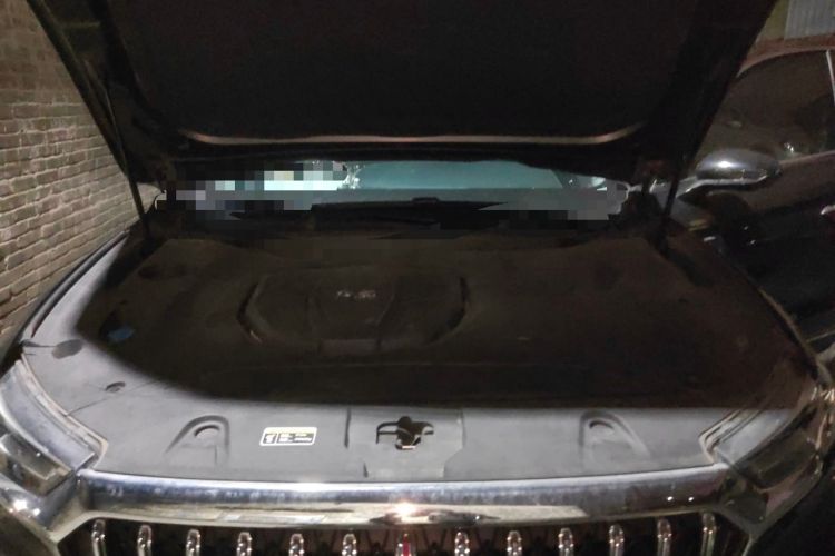 Used Hongqi HS5 2022 Revised Version 2.0T Smart Connect Flagship Edition Engine Bay