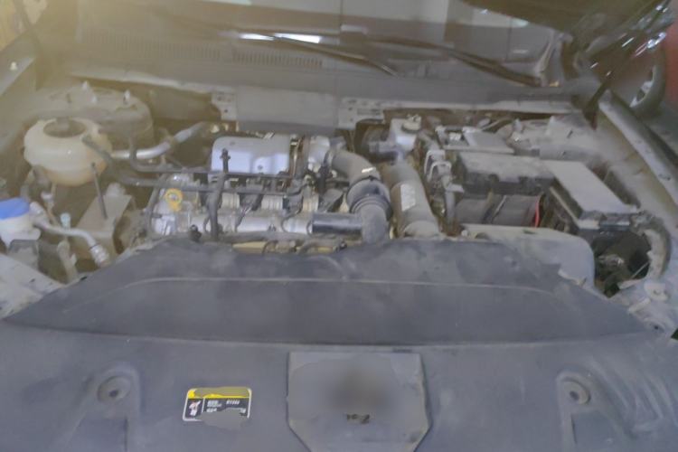 Used Hongqi HS5 2022 2.0T Smart Connect Flagship All-Wheel Drive LeGou Edition Engine Bay