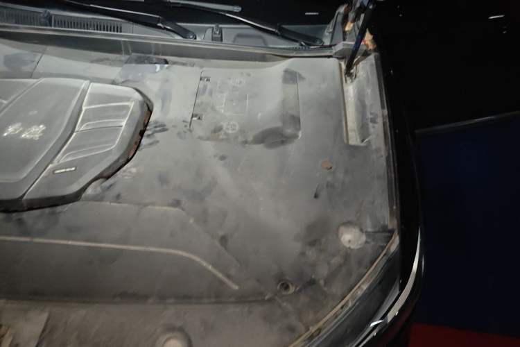 Used Hongqi HS5 2022 Facelifted Version 2.0T Smart Connect Flagship All-Wheel-Drive Edition Engine Bay Left