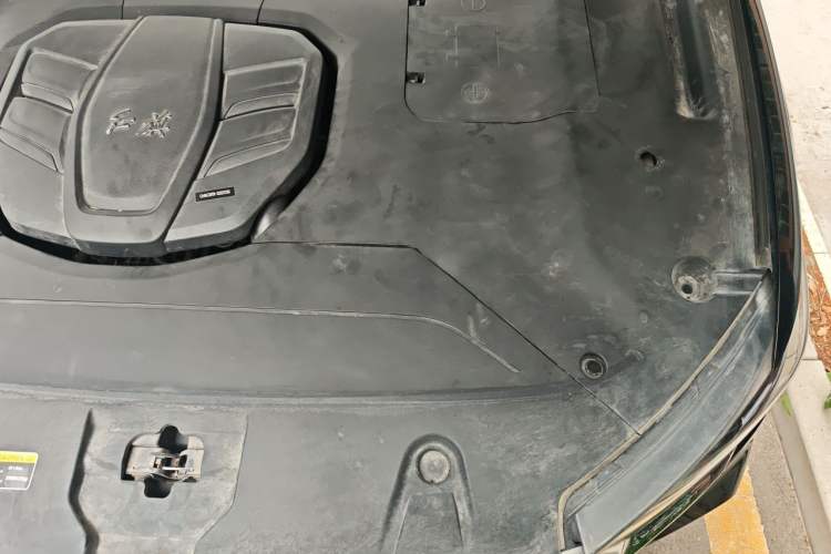 Used Hongqi HS5 2022 Revised Version 2.0T Smart Connect Flagship Edition Engine Bay Left