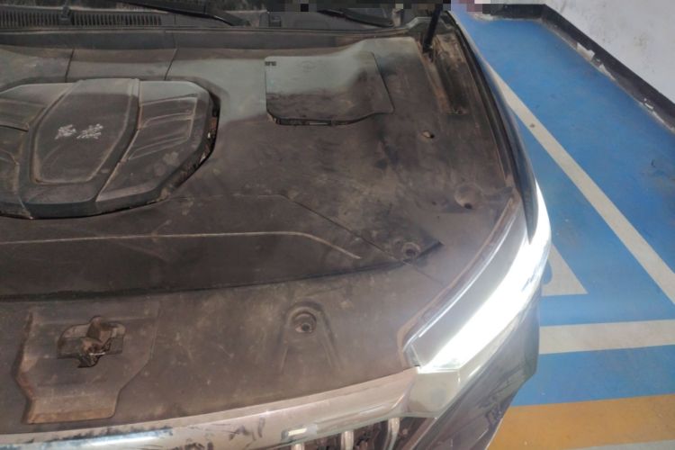 Used Hongqi HS5 2022 Revised Version 2.0T Smart Connect Flagship Edition Engine Bay Left