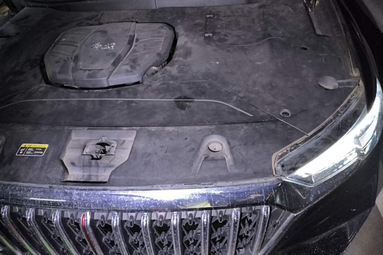 Used Hongqi HS5 2022 Revised Version 2.0T Smart Connect Flagship Edition Engine Bay Left