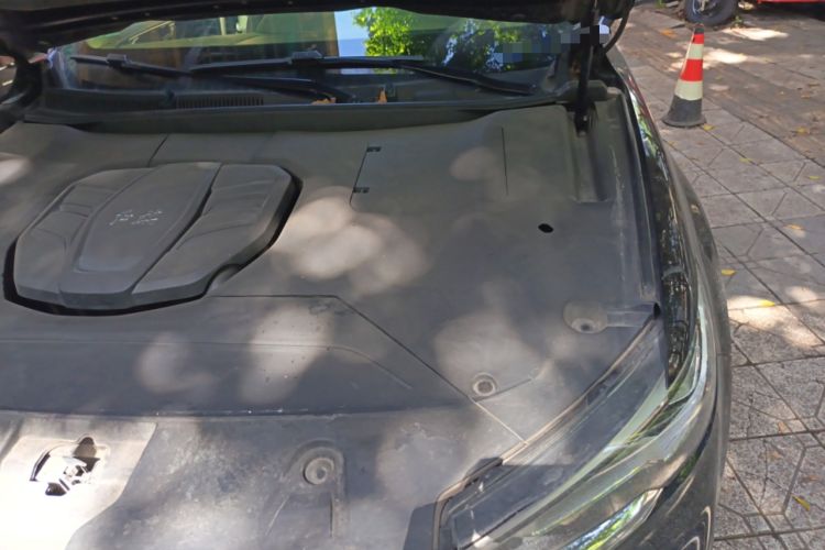 Used Hongqi HS5 2022 Revised Version 2.0T Smart Connect Flagship Edition Engine Bay Left