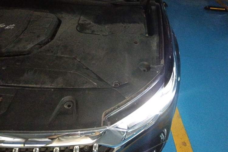 Used Hongqi HS5 2022 Revised Version 2.0T Smart Connect Flagship Edition Engine Bay Left