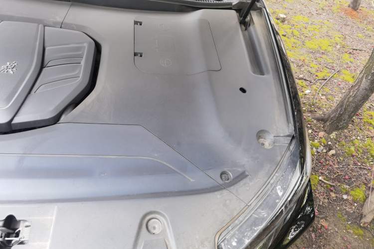 Used Hongqi HS5 2022 Facelifted Version 2.0T Smart Connect Flagship All-Wheel-Drive Edition Engine Bay Left