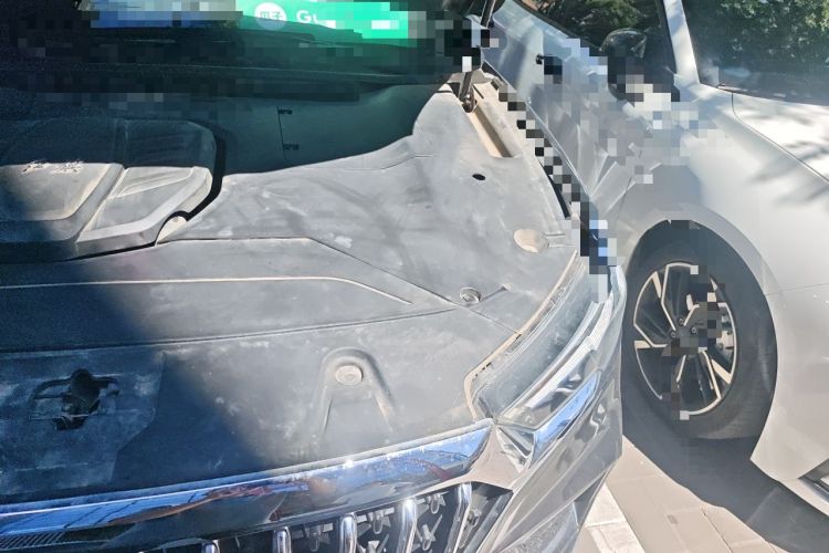Used Hongqi HS5 2022 Facelifted Version 2.0T Smart Connect Flagship All-Wheel-Drive Edition Engine Bay Left