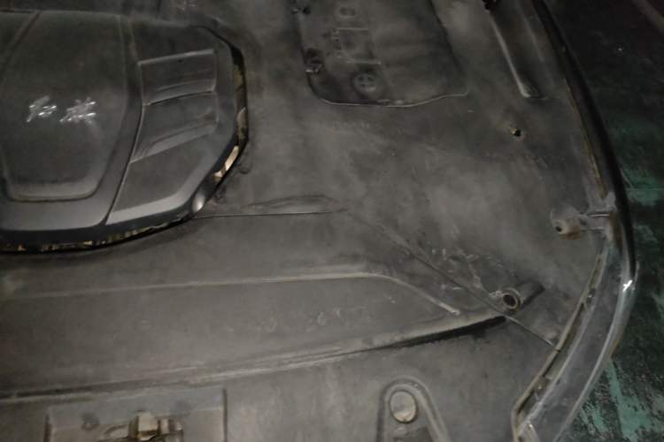 Used Hongqi HS5 2022 Revised Version 2.0T Smart Connect Flagship Edition Engine Bay Left