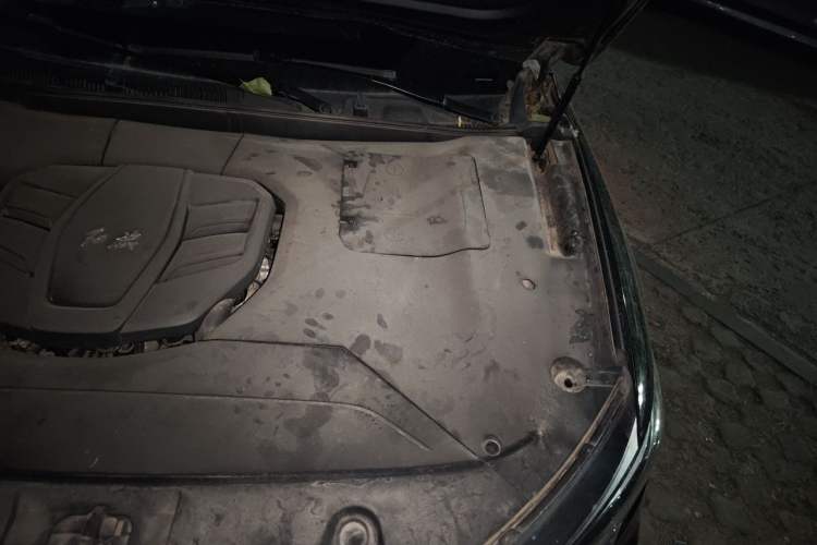 Used Hongqi HS5 2022 Revised Version 2.0T Smart Connect Flagship Edition Engine Bay Left