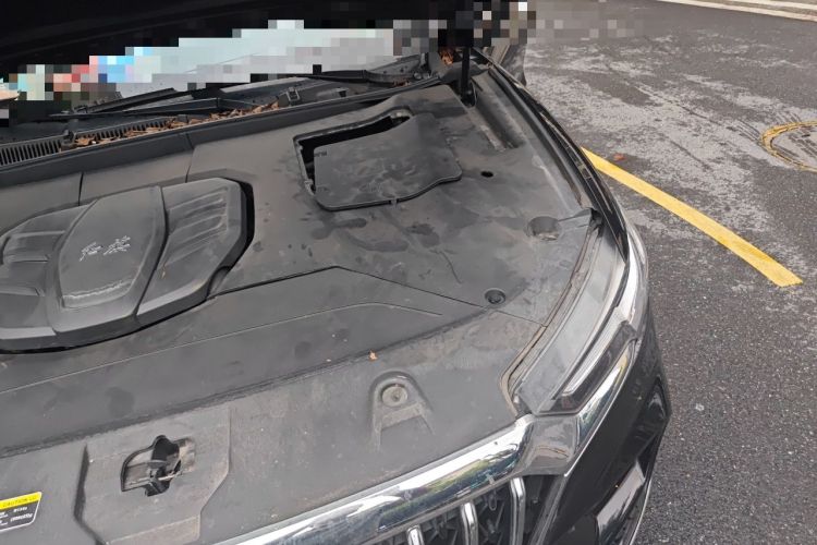 Used Hongqi HS5 2022 2.0T Smart Connect Flagship Enjoyment Purchase Edition Engine Bay Left