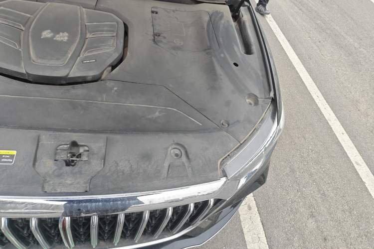 Used Hongqi HS5 2022 2.0T Smart Connect Flagship Enjoyment Purchase Edition Engine Bay Left