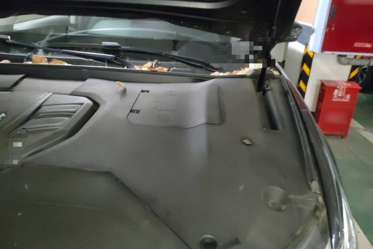 Used Hongqi HS5 2022 2.0T Smart Connect Flagship All-Wheel-Drive Version Engine Bay Left