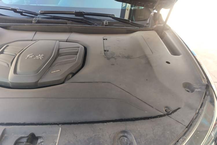 Used Hongqi HS5 2022 Revised Version 2.0T Smart Connect Flagship Edition Engine Bay Left