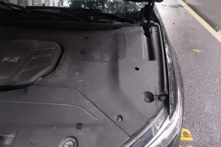 Used Hongqi HS5 2022 Revised Version 2.0T Smart Connect Flagship Edition Engine Bay Left