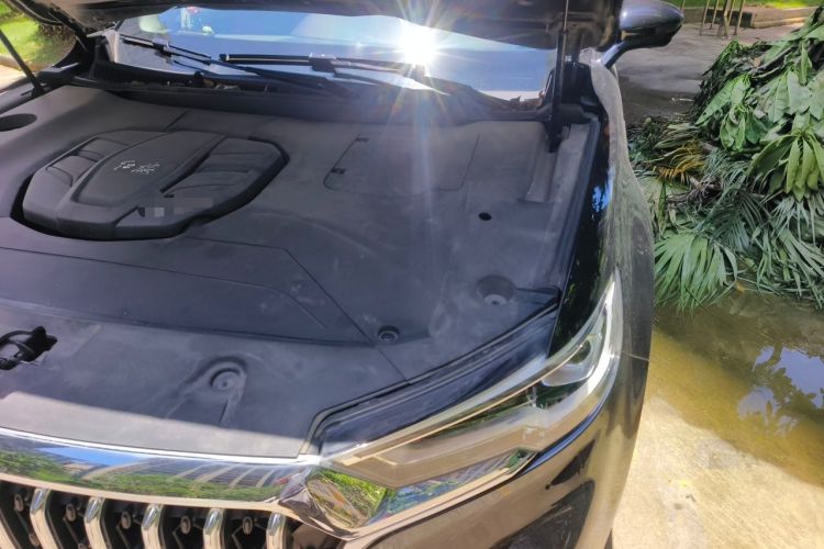 Used Hongqi HS5 2022 Facelifted Version 2.0T Smart Connect Flagship All-Wheel-Drive Edition Engine Bay Left