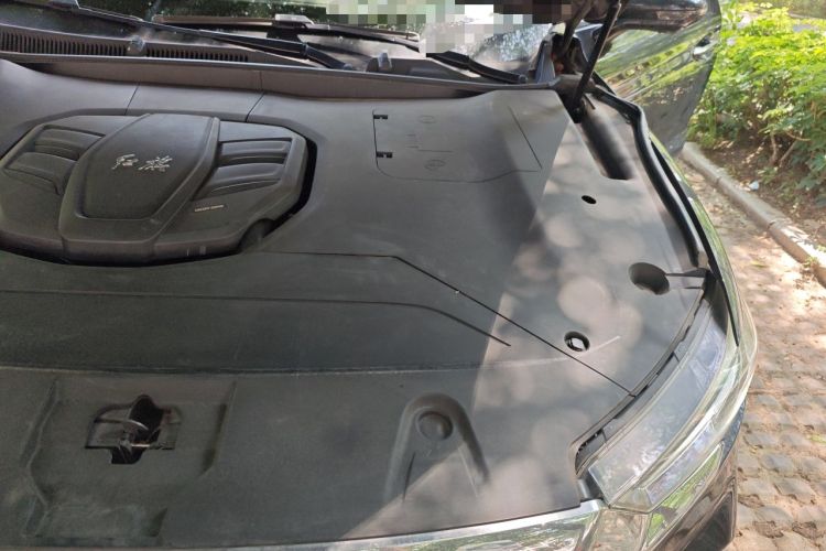 Used Hongqi HS5 2022 Revised Version 2.0T Smart Connect Flagship Edition Engine Bay Left
