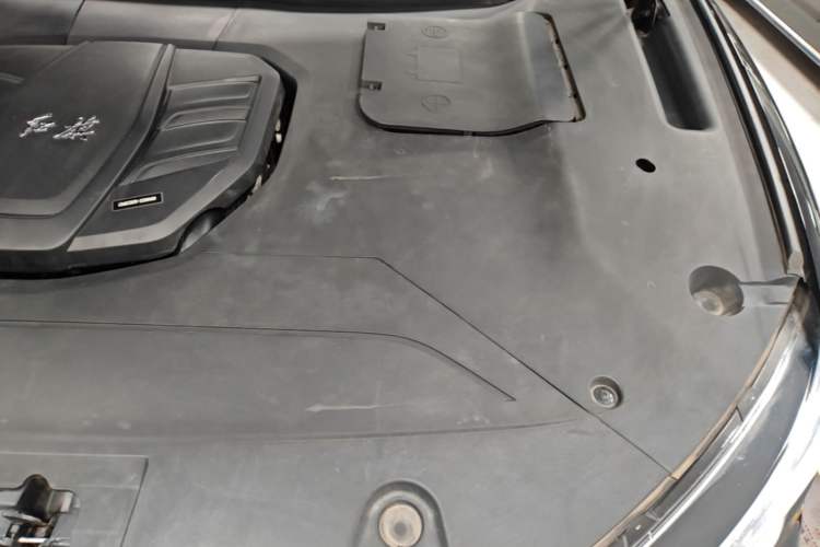 Used Hongqi HS5 2022 2.0T Smart Connect Flagship Edition Engine Bay Left