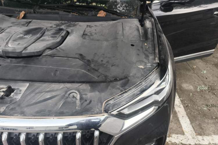 Used Hongqi HS5 2022 Revised Version 2.0T Smart Connect Flagship Edition Engine Bay Left