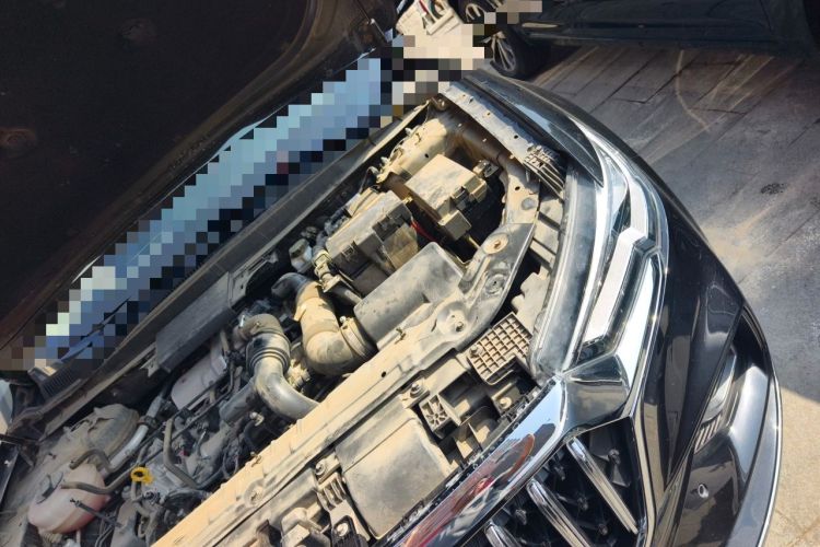 Used Hongqi HS5 2022 Facelifted Version 2.0T Smart Connect Flagship All-Wheel-Drive Edition Engine Bay Left