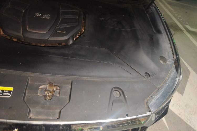 Used Hongqi HS5 2022 2.0T Smart Connect Flagship All-Wheel-Drive Version Engine Bay Left