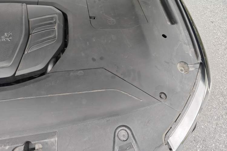 Used Hongqi HS5 2022 Revised Version 2.0T Smart Connect Flagship Edition Engine Bay Left