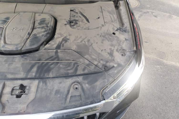 Used Hongqi HS5 2022 Facelifted Version 2.0T Smart Connect Flagship All-Wheel-Drive Edition Engine Bay Left