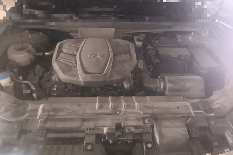 Used Hongqi HS5 2022 Facelifted Version 2.0T Smart Connect Flagship All-Wheel-Drive Edition Engine Bay