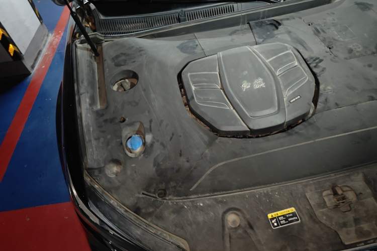 Used Hongqi HS5 2022 Facelifted Version 2.0T Smart Connect Flagship All-Wheel-Drive Edition Engine Bay Right