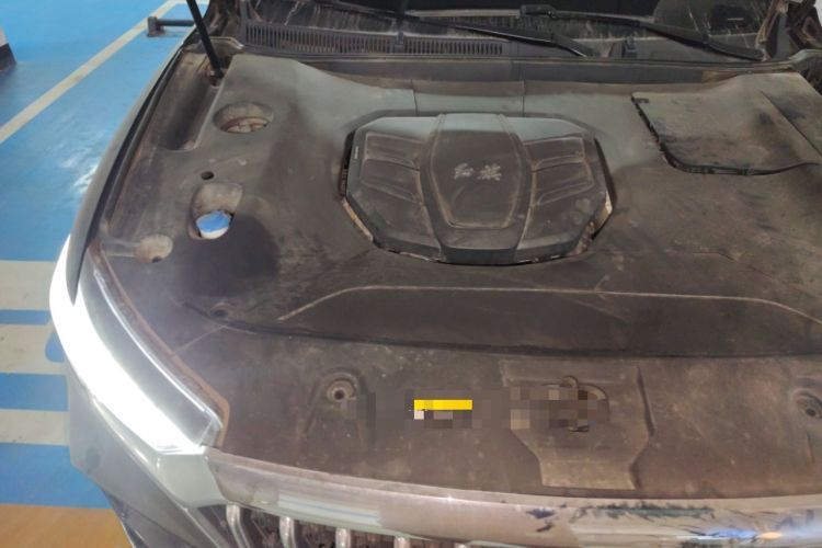 Used Hongqi HS5 2022 Revised Version 2.0T Smart Connect Flagship Edition Engine Bay Right