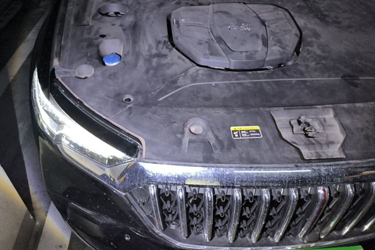 Used Hongqi HS5 2022 Revised Version 2.0T Smart Connect Flagship Edition Engine Bay Right