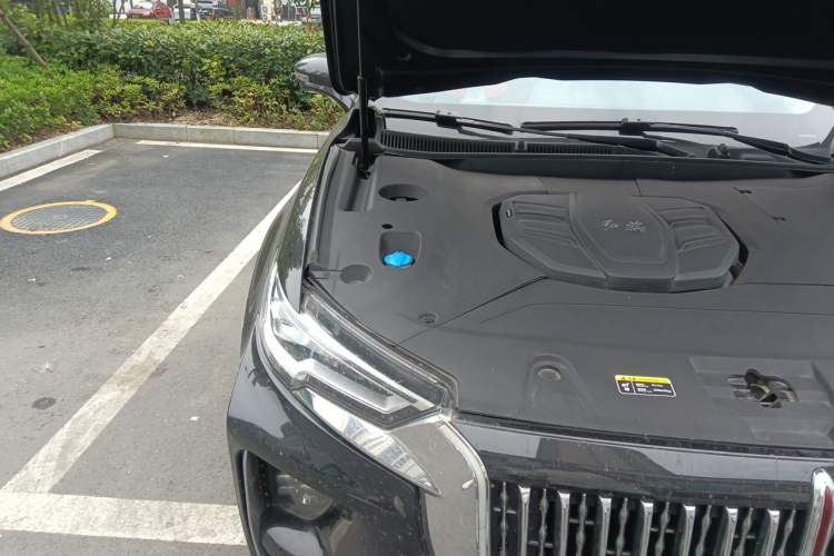 Used Hongqi HS5 2022 Revised Version 2.0T Smart Connect Flagship Edition Engine Bay Right