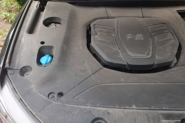 Used Hongqi HS5 2022 Revised Version 2.0T Smart Connect Flagship Edition Engine Bay Right