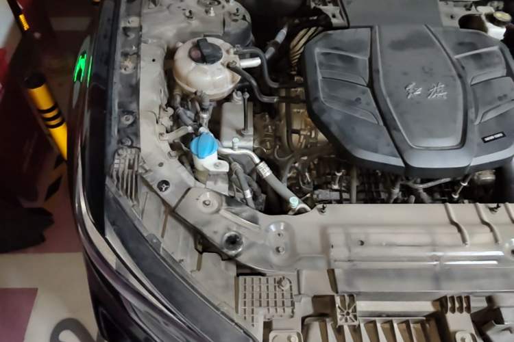 Used Hongqi HS5 2022 Revised Version 2.0T Smart Connect Flagship Edition Engine Bay Right
