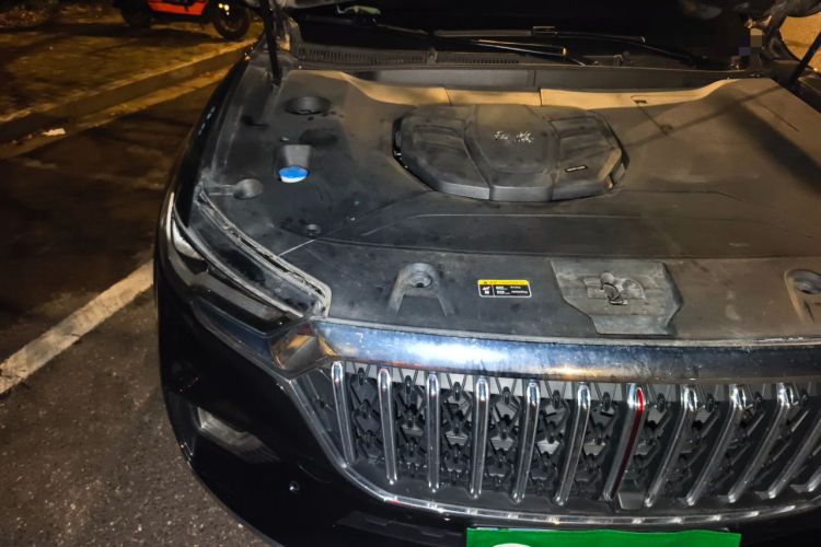 Used Hongqi HS5 2022 2.0T Smart Connect Flagship All-Wheel-Drive Version Engine Bay Right