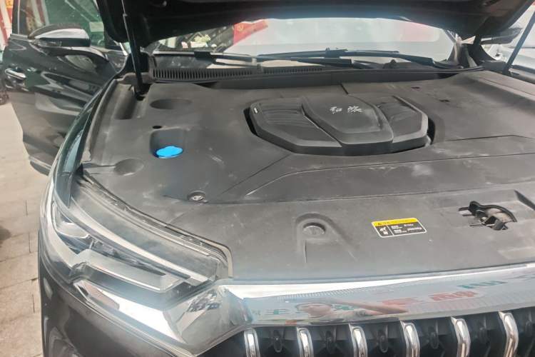 Used Hongqi HS5 2022 Revised Version 2.0T Smart Connect Flagship Edition Engine Bay Right