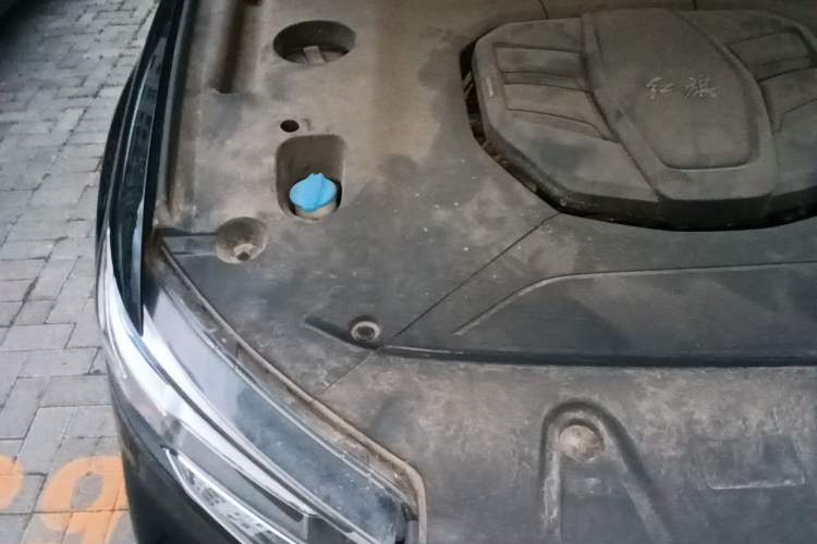 Used Hongqi HS5 2022 Facelifted Version 2.0T Smart Connect Flagship All-Wheel-Drive Edition Engine Bay Right