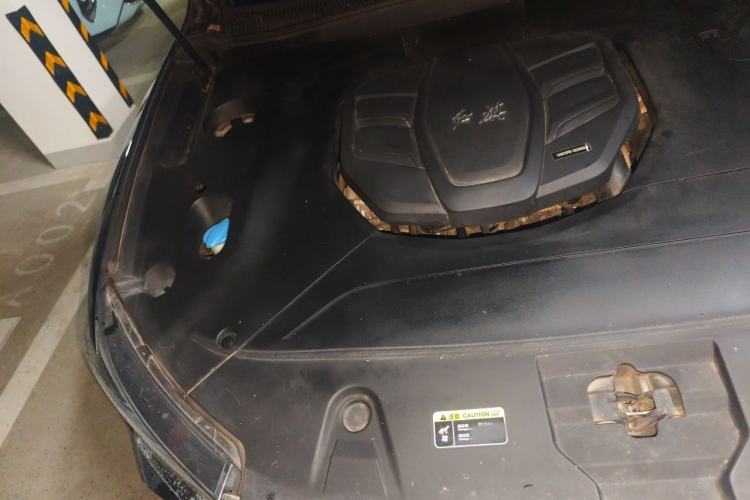 Used Hongqi HS5 2022 2.0T Smart Connect Flagship All-Wheel-Drive Version Engine Bay Right