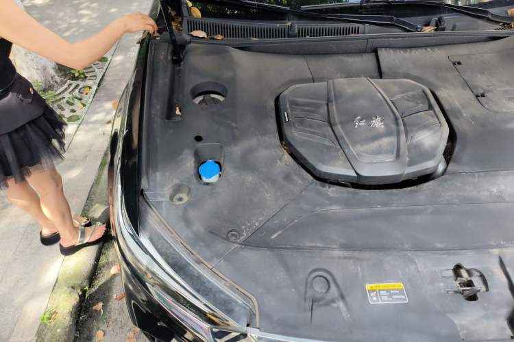 Used Hongqi HS5 2022 Revised Version 2.0T Smart Connect Flagship Edition Engine Bay Right