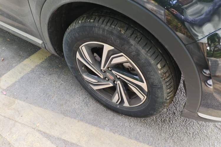 Used Hongqi HS5 2022 Revised Version 2.0T Smart Connect Flagship Edition Exterior 1
