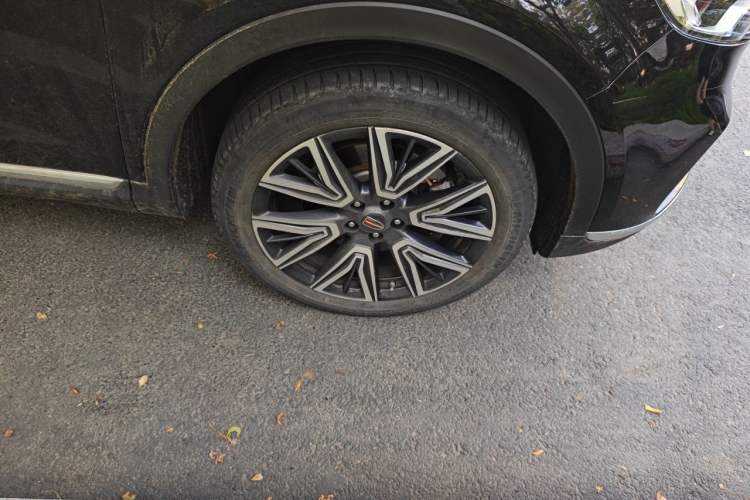 Used Hongqi HS5 2022 Facelifted Version 2.0T Smart Connect Flagship All-Wheel-Drive Edition Exterior 1