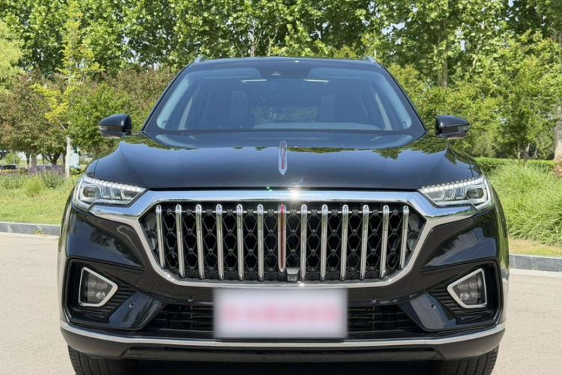 Used Hongqi HS5 2022 Revised Version 2.0T Smart Connect Flagship Edition Exterior 1