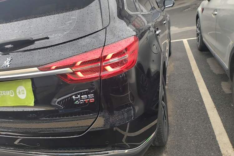 Used Hongqi HS5 2022 Revised Version 2.0T Smart Connect Flagship Edition Exterior 3