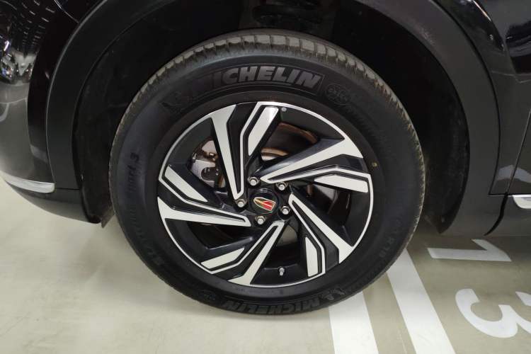 Used Hongqi HS5 2022 Revised Version 2.0T Smart Connect Flagship Edition Exterior 4